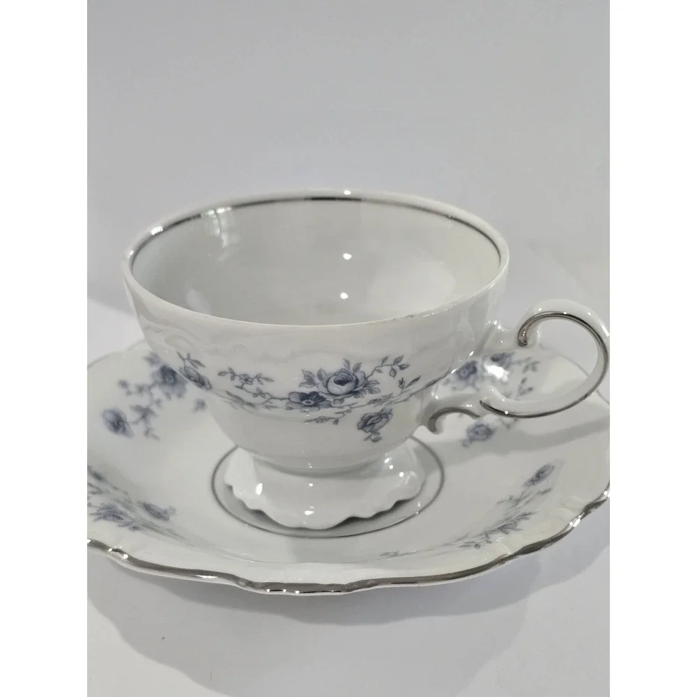 Johann Haviland Blue Garland Tea Cup & Saucer Bavaria Germany Vintage